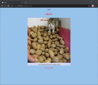 A sub-page dedicated to “Steve”. This time the image included in the page is of a cat on top of a pile of potatos.